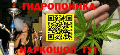 крисы Надым