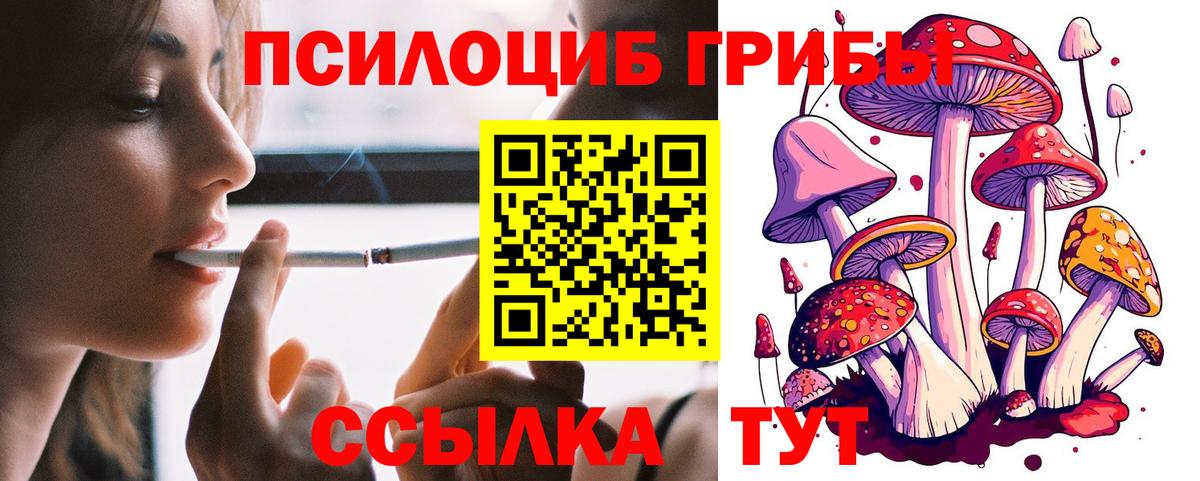 Кашира  Псилоцибиновые грибы мухоморы  Галлюциногенные грибы Cubensis  Вход с VPN 